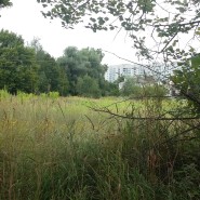 так было 20160719_184326